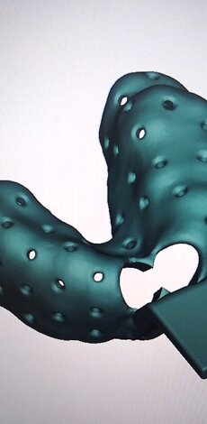 immagine whatsapp 2025-02-04 ore 11